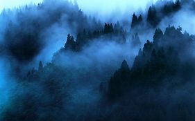Mount'n mist
